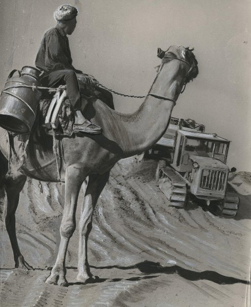 Освоение пустыни, 1958 год, Средняя Азия. Выставка «В пустыне» с этой фотографией.