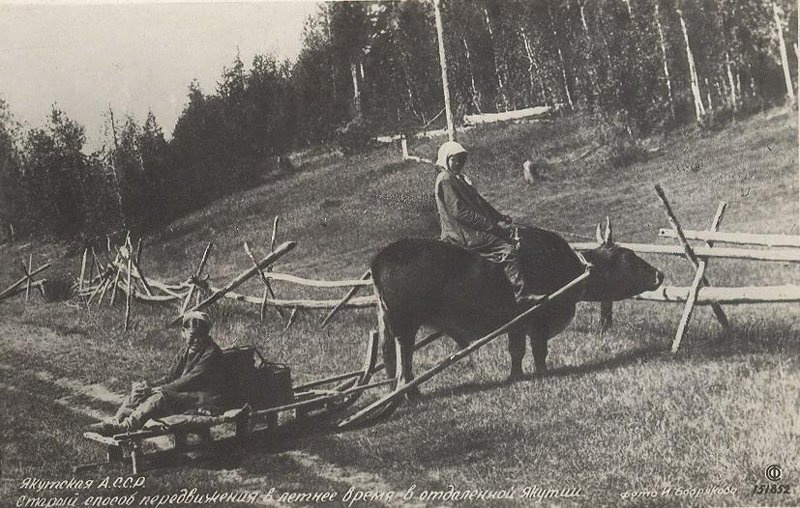 Старый способ передвижения в летнее время в отдаленной Якутии, 1930-е, Якутская АССР. Выставка «Саха» с этой фотографией.&nbsp;