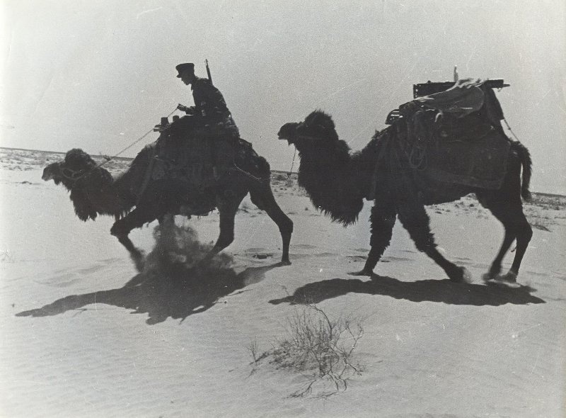 Пограничник, 1930-е, Туркменская ССР. Выставки&nbsp;«На рубежах»,&nbsp;«Жара», «Советская несоветская Туркмения»&nbsp;и  «В пустыне» с этой фотографией.