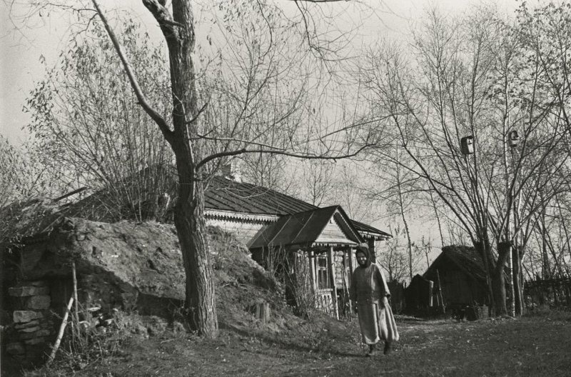 Новый дом, 1934 год. Выставка «"Навстречу весне". Скворечники» с этой фотографией.