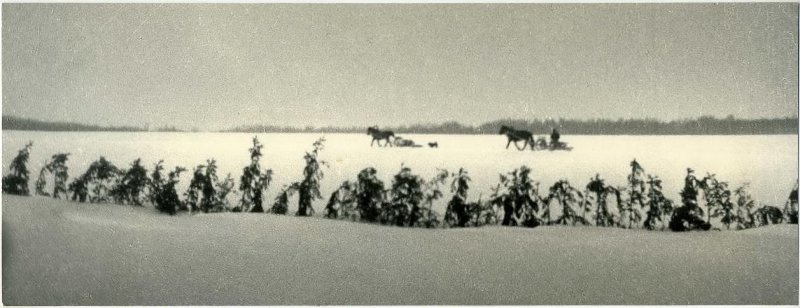 «Просторы Родины», 1920-е