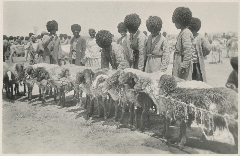 Торговля овцами, 1928 год, Туркменская ССР. Выставки «Советская несоветская Туркмения» и «Покупай, торопись, налетай, не скупись!» с этой фотографией. 