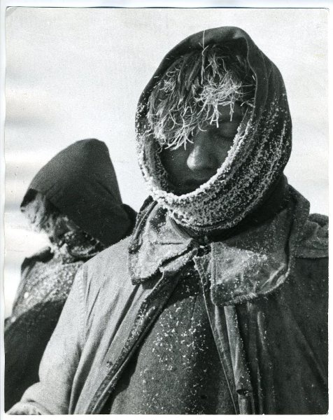 Северо-Западный фронт. Пленные из дивизии СС, 1942 год