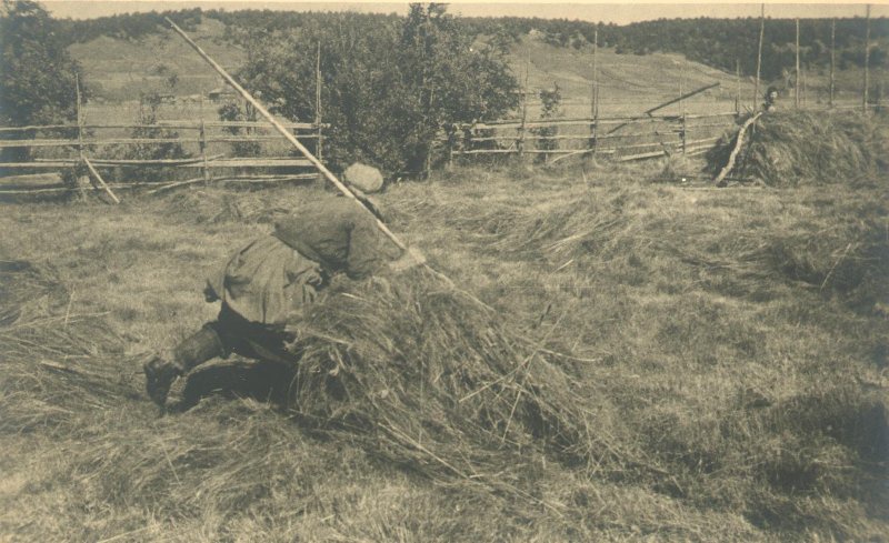 Фотограф Сергей Калабушкин на сенокосе