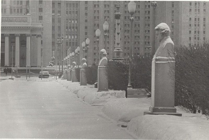 Аллея, ведущая к главному корпусу МГУ, 1953 - 1959, г. Москва. Выставка «Зима в Москве» с этим снимком.