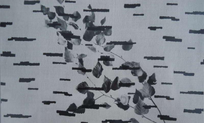 Березовые листья, 1970-е. Выставка «Объекты, детали, фактуры. Фотографии Александра Хлебникова» с этой фотографией.