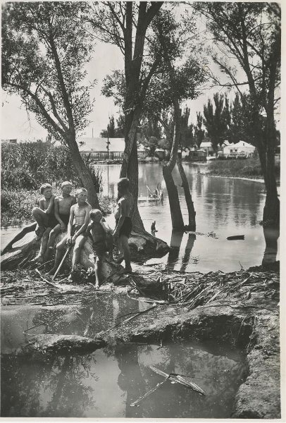 Лето. Мальчишки, 1920-е. Выставка «Летние фрагменты 1920-х» с этой фотографией.
