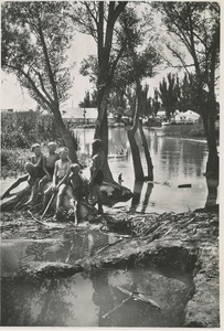 Лето. Мальчишки, 1920-е. Выставка «Летние фрагменты 1920-х» с этой фотографией.