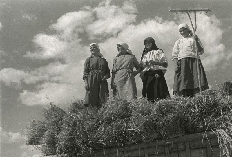 Колхозницы, 1934 год. Выставки&nbsp;«Сельские женщины СССР», «На сеновал!» с этой фотографией.