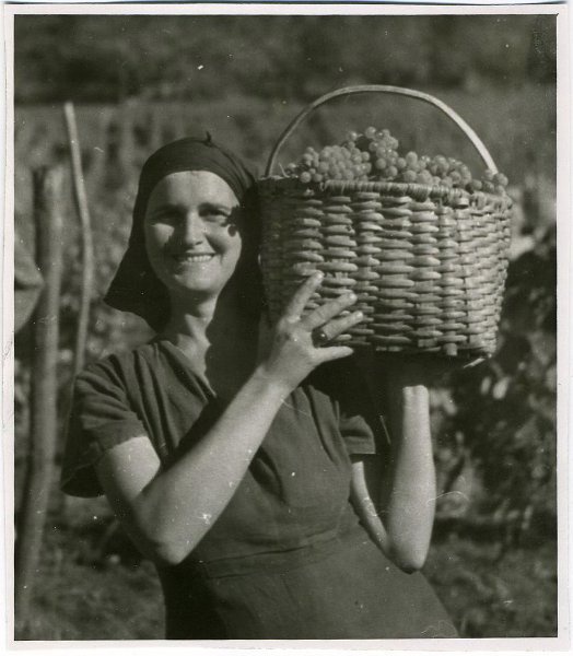 Осень в винодельческом совхозе № 2, 1950-е, Грузинская ССР. Выставка «Сельские женщины СССР» с этой фотографией.