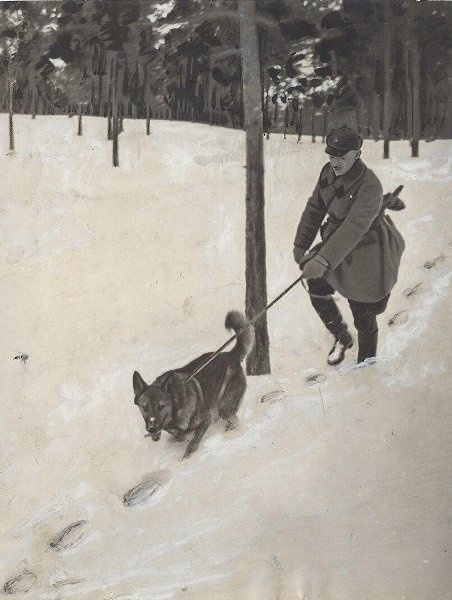 «На страже советских границ», 1936 год, Ленинградская обл.