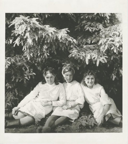 Под елью, 1941 - 1945. Выставка «Медсестры. Ради здоровья других» с этой фотографией.