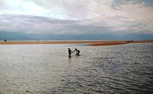 Лагуна у озера Иссык-Куль, 1 июня 1967, Киргизская ССР,  п-ов Кара-Булун. Научный стационар Тянь-Шаньской физико-географической станции на озере Иссык-Куль, полуостров Кара-Булун. 