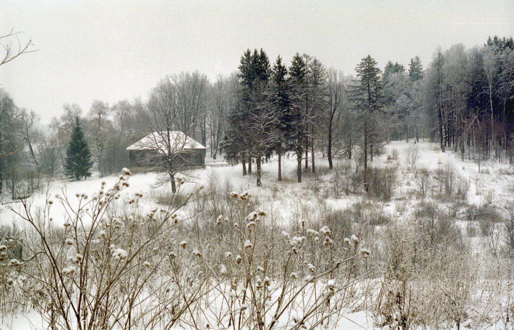 
    Фото Деревня зимой, февраль 1999, Калужская обл., Тарусский р-н, с. Барятино - История России в фотографиях
