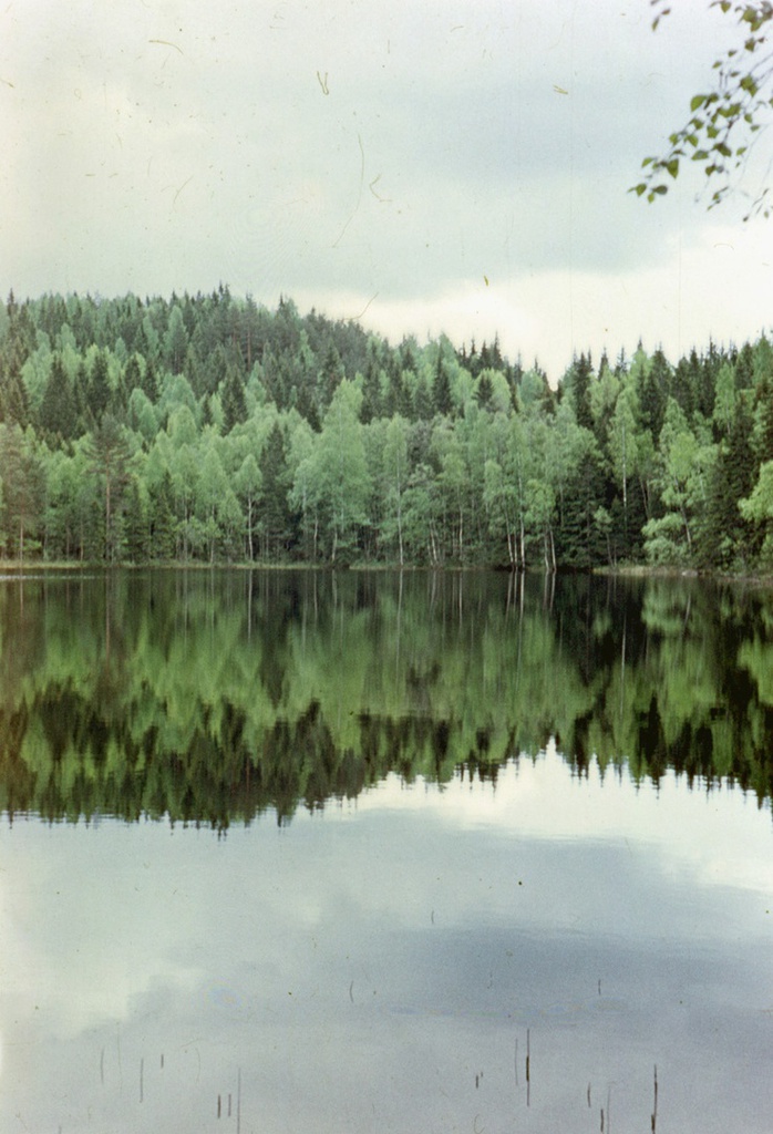Лесное озеро, 1 июня 1975 - 20 августа 1975, Карельская АССР. Выставка «Лес» с этой фотографией.