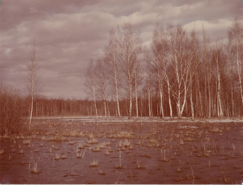 «Голубая весна», 1980-е, Псковская обл.