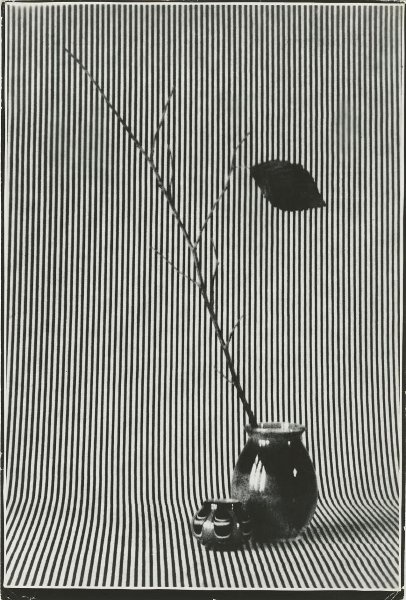 Натюрморт, 1960-е. Выставка «10 фотографий: натюрморты XX века» с этим снимком.&nbsp;