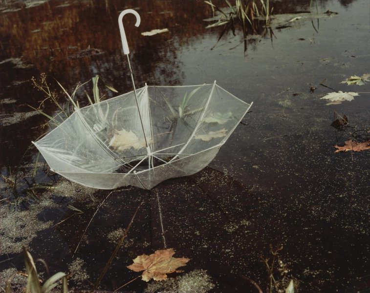 Перевернутый зонт, 1990-е. Выставка «"Серебряный век" поэзии про осень» с этой фотографией.
