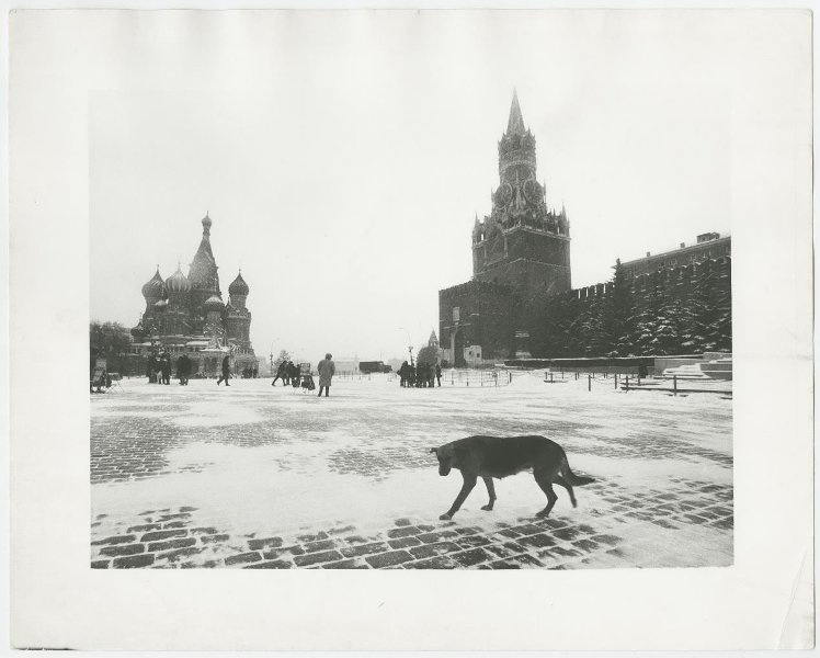 Красная Площадь, 1988 год, г. Москва. Фильм «30 лет совести» и выставка «СССР в 1988 году» с этой фотографией.