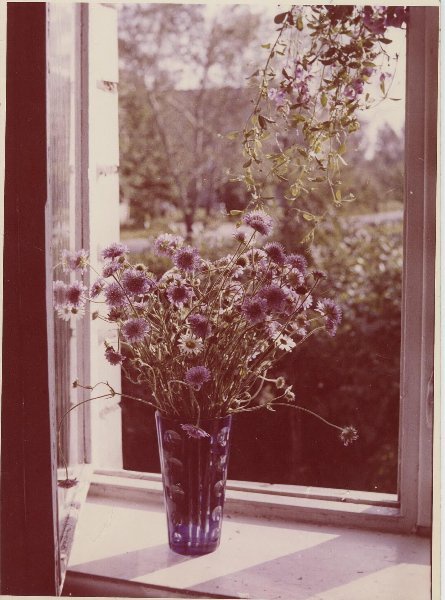 «Васильки и ромашки», 1970-е. Выставка «Язык цветов» с этой фотографией.
