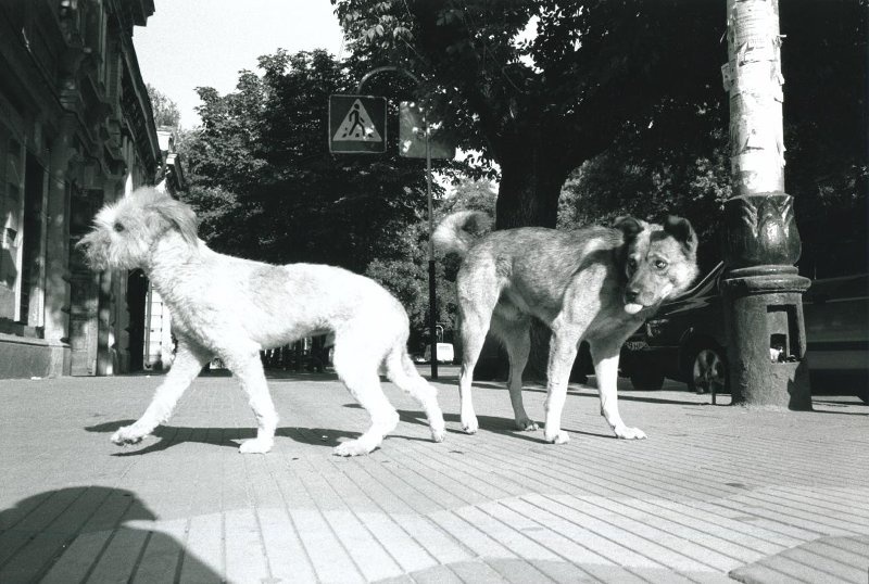 Краснодар, 1998, 1998 год, Краснодарский край, г. Краснодар. Фото № 3.Видеолекция «Игорь Мухин. Эпоха перемен» с этой фотографией.