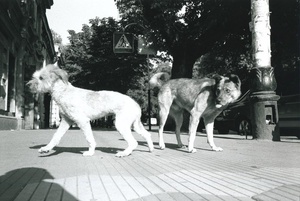 Краснодар, 1998, 1998 год, Краснодарский край, г. Краснодар. Фото № 3.Видеолекция «Игорь Мухин. Эпоха перемен» с этой фотографией.