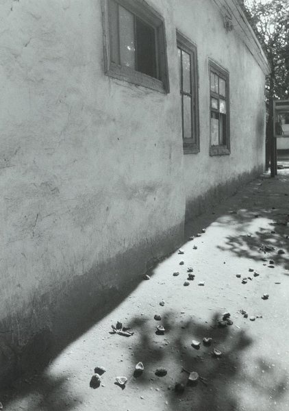 Дом с окнами, 1998 год, Краснодарский край, г. Краснодар