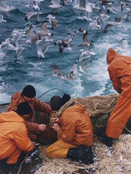 Черное море. Рыбаки, декабрь 1997, Краснодарский край