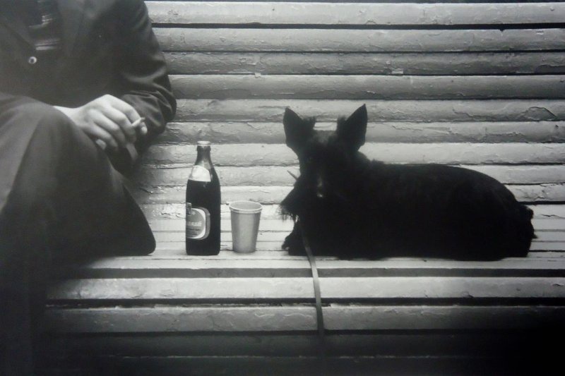«Перекур» («Люди и звери»), 1996 год