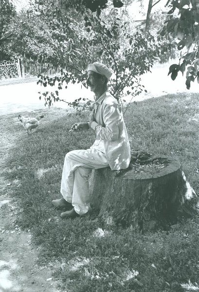 Михаил Семенович Парамошкин, 19 августа 1998, Краснодарский край, Брюховецкий р-н, хутор Привольный. Авторское название: «Хутор Привольный Брюховецкого района Краснодарского края. 19 августа 1998 года. Михаил Семенович Парамошкин».&nbsp;