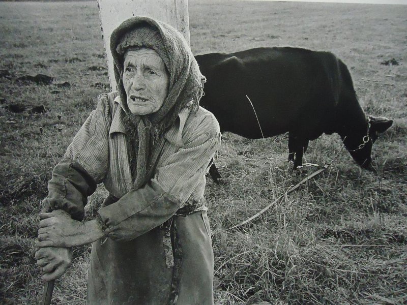 Пенсионерка Наталья Михайловна Кравец, октябрь 1997, Краснодарский край, Тимашевский р-н, хутор Некрасова. Фото № 2.Выставка «Осенние портреты» с этой фотографией.