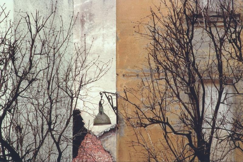 Композиция, 1994 год, г. Санкт-Петербург. Выставка «Проект "Дерево"» с этой фотографией.