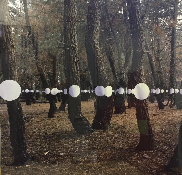 Из серии «Инсталляции», 1993 год. Фото № 6.Выставка «Проект "Дерево"» с этой фотографией.