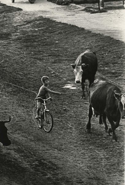 «Велопастушок», 1976 год, Алтайский край. Видео «Я буду долго гнать велосипед»&nbsp;и выставка «Пастухи» с этой фотографией. 