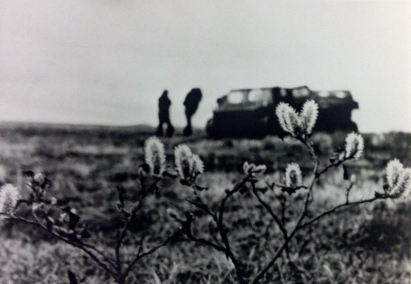 Верба, 1988 год, Магаданская обл., Чукотский АО