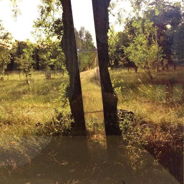 Из серии «Деревенские впечатления», 1992 год. Фото № 17.Выставка «Проект "Дерево"» с этой фотографией.