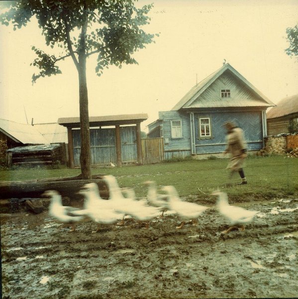 Мурзанаево, 1995 год, Республика Марий Эл, дер. Мурзанаево. Из серии «Российские регионы».Видеолекция «Сергей Чиликов. Фотопровокации» с этой фотографией.