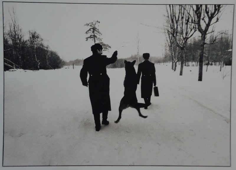 Из серии «Это твоя родина, сынок!», 1990-е. Фото № 26.