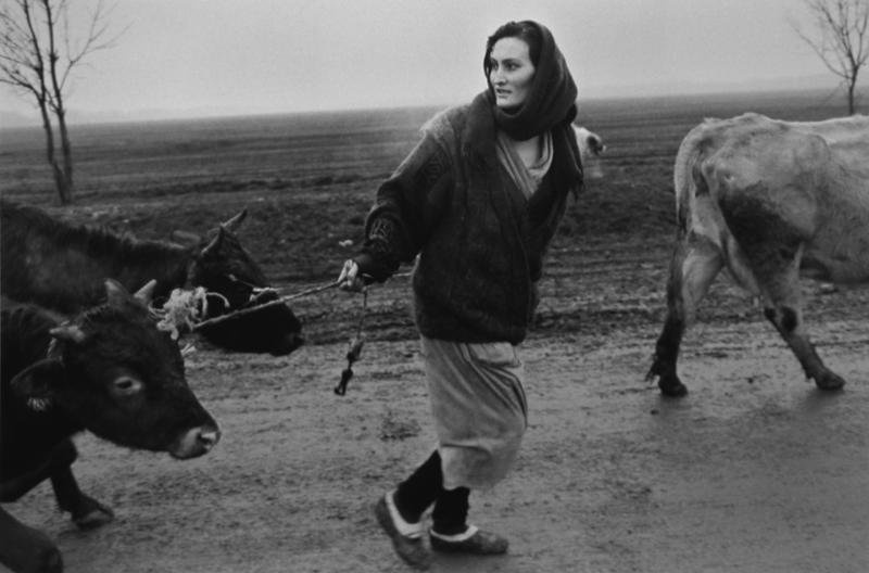 Беженка из Серноводска, 1996 год, Чеченская Республика. Выставка «Россия целиком» с этой фотографией.&nbsp;