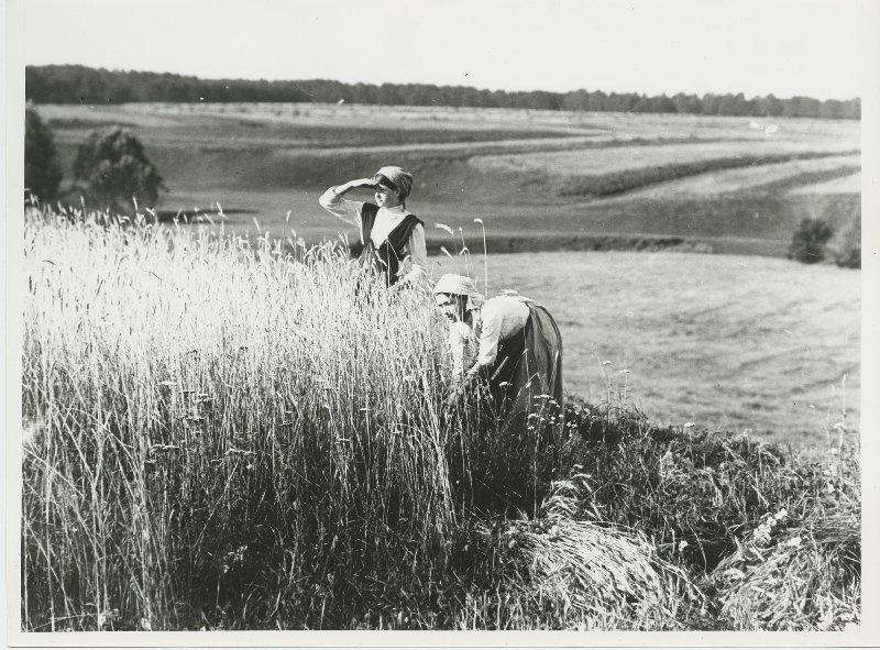 Крестьянки во время жатвы, 1910 - 1916. Выставка «Николай Свищов-Паола. "Входите – я дома"» с этой фотографией.