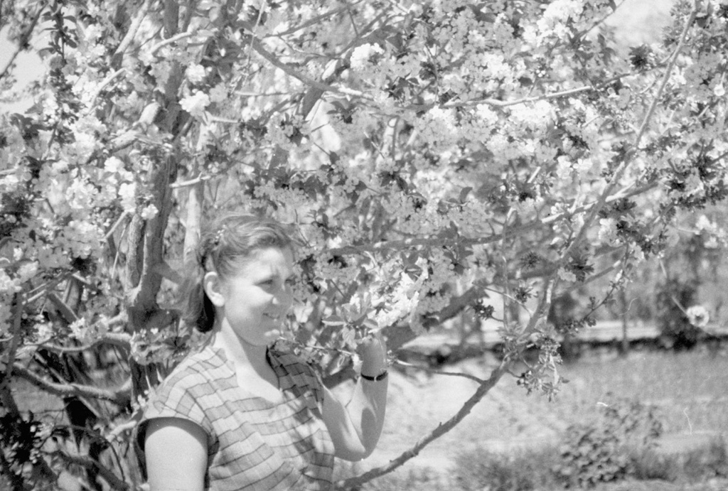 Советские геологи в Китае. Нинель Афанасьева у цветущего дерева, апрель 1956, Китай, г. Кашгар (Каши). 