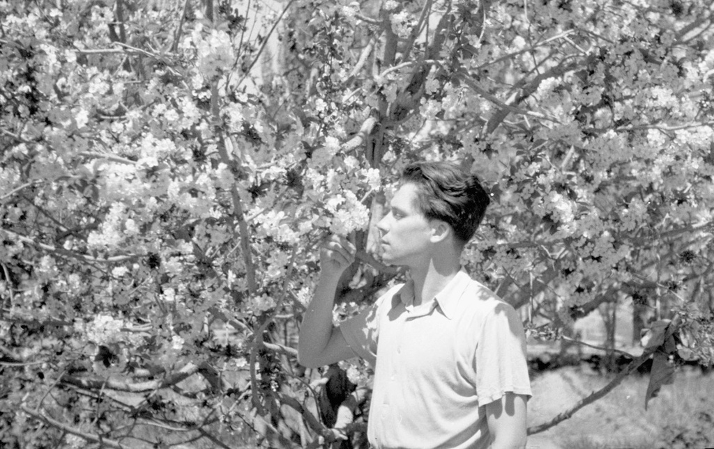 Советские геологи в Китае. Владимир Фараджев у цветущего дерева, апрель 1956, Китай, г. Кашгар (Каши). 