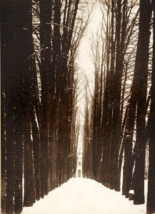 Липовая аллея в зимнем парке, 1920-е, Московская обл., с. Остафьево. Видео «Луначарский. Интеллигент среди большевиков и большевик среди интеллигентов», выставки&nbsp;«Падал прошлогодний снег» и «Зима 1920-х» с этой фотографией.
