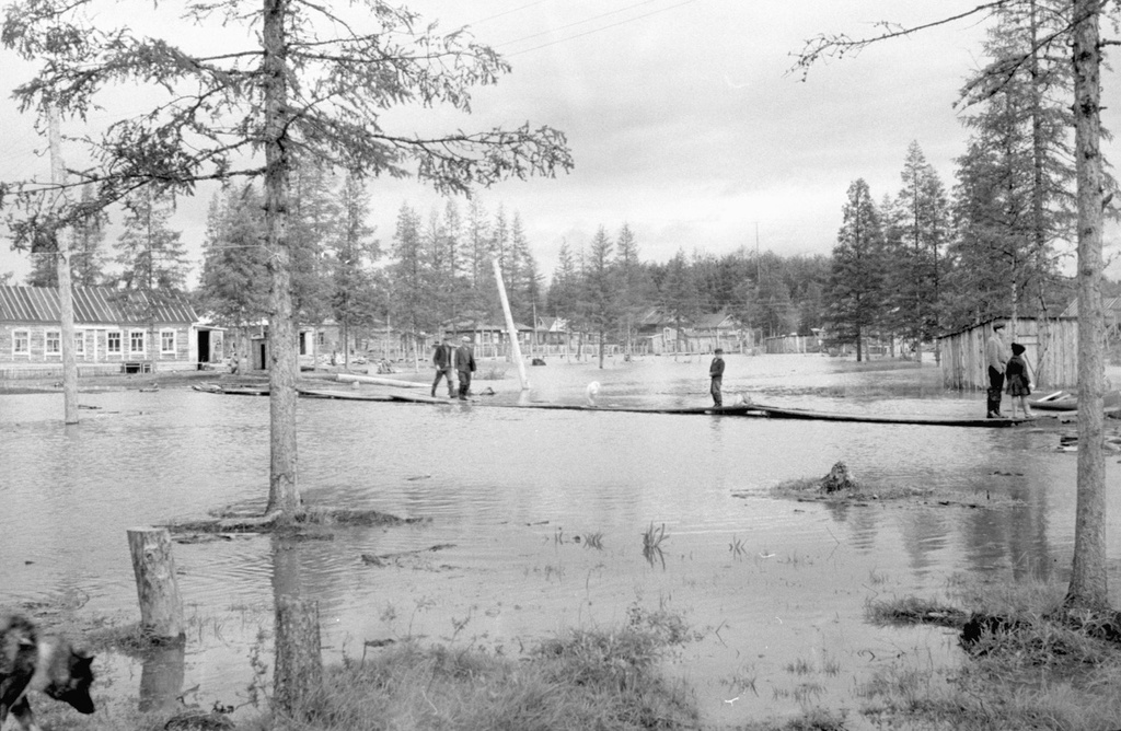 Село Аянка затоплено разливом реки Пенжина, 15 - 31 мая 1966, Камчатский край, с. Аянка. 