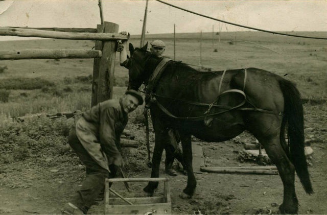 Что такое по мнению автора деревенская фотография