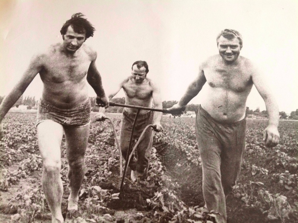 На картошке, август - октябрь 1989, Ростовская обл., Волгодонской р-н, пос. Победа. Фотография из архива Николая Рябцева.