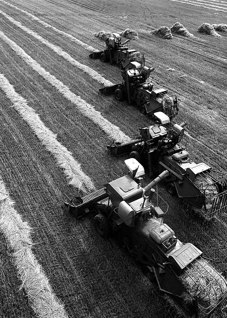 Уборка зерновых, 1968 год, Челябинская обл., Уйский р-н. Выставка «СССР в 1968 году» с этой фотографией.