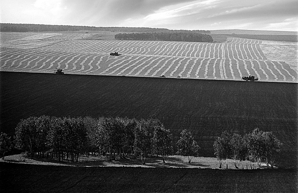 Уборка зерновых культур, август 1979, Челябинская обл., Верхнеуральский р-н, совхоз «Петропавловский». Выставка «СССР в 1979 году» с этой фотографией.