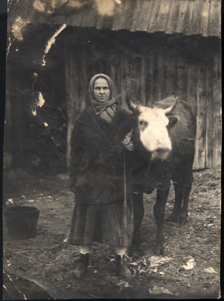 Коллективизация. Татьяна Васильевна Аборина, 1930-е, Дер. Лыткарино. Своими воспоминаниями о коллективизации в Лыткарино поделилась бывшая учительница Зинаида Ивановна Муратова: "Крестьяне не проявляли желания вступать в колхоз... При вступлении в колхоз крестьяне должны были обобществлять свое имущество, самыми ценными из которого были корова, лошадь, овцы..."