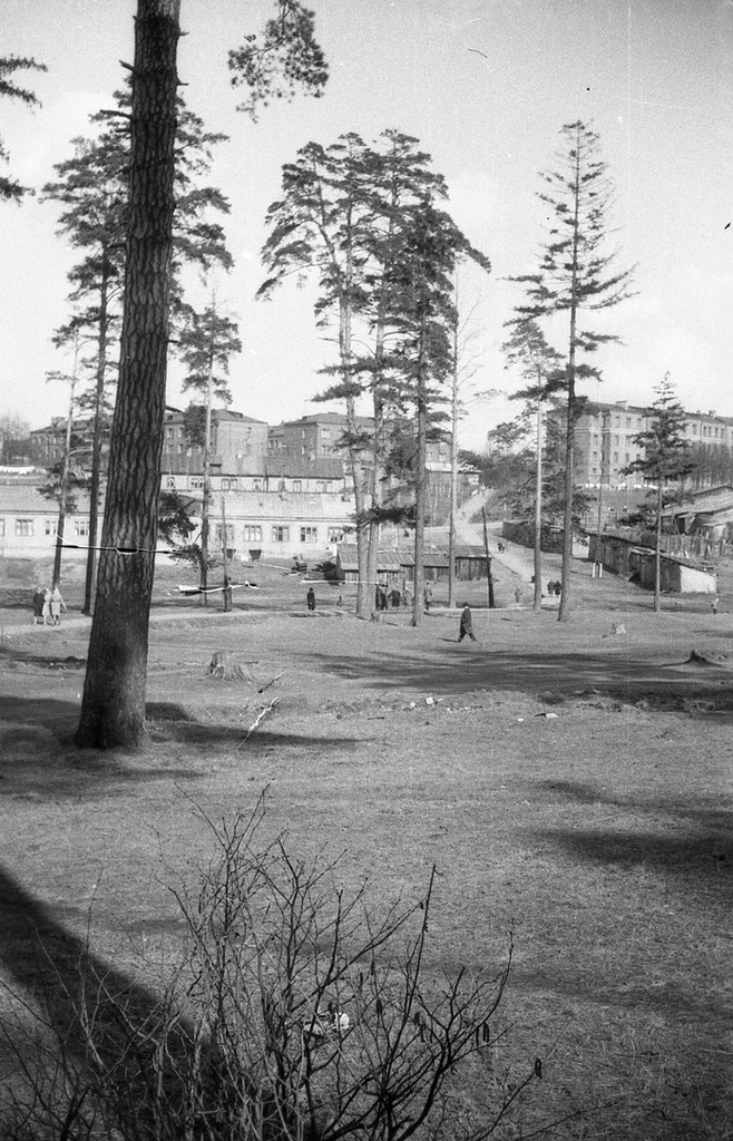 Люди идут по пешеходной дороге имени управдома Козлова, май - декабрь 1965, г. Красногорск. 